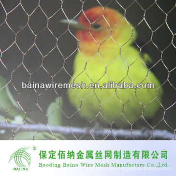 low carbon bird cage mesh